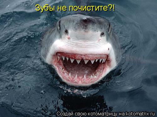 Зубы не почистите?!... Котоматрица: Зубы не почистите?!