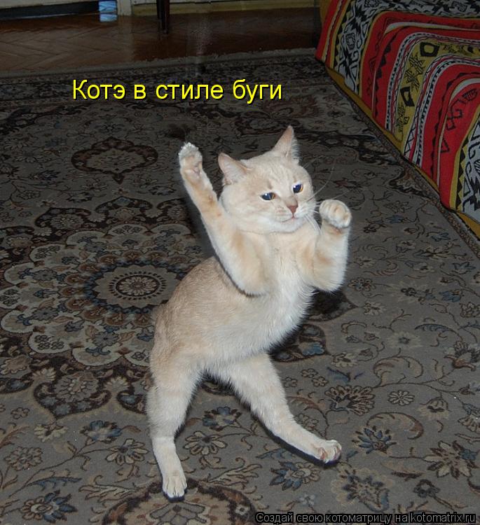 Котэ в стиле буги... Котоматрица: Котэ в стиле буги