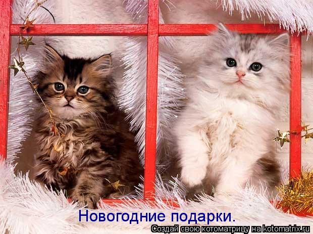 Новогодние подарки.... Котоматрица: Новогодние подарки.