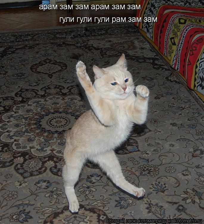 арам зам зам арам зам зам гули гули гули рам зам зам... Котоматрица: арам зам зам арам зам зам гули гули гули рам зам зам