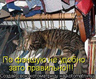 По фэншую не удобно зато правильно!!!... Котоматрица: По фэншую не удобно зато правильно!!!