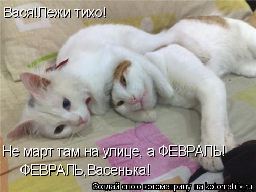 Котоматрица: Вася!Лежи тихо!  Не март там на улице, а ФЕВРАЛЬ!  ФЕВРАЛЬ,Васенька!