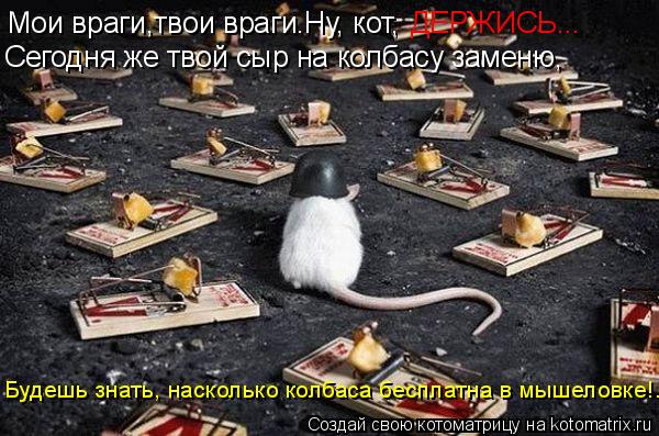 Мои враги,твои враги .Ну, кот, ДЕРЖИСЬ... Сегодня же твой сыр на колбасу заменю, Будешь знать, наскол... Котоматрица: Мои враги,твои враги .Ну, кот, ДЕРЖИСЬ... Сегодня же твой сыр на колбасу заменю, Будешь знать, насколько колбаса бесплатна в мышеловке!...