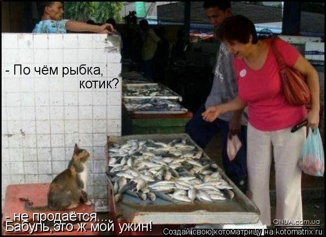 - По чём рыбка, котик? - не продаётся.... Бабуль,это ж мой ужин!... Котоматрица: - По чём рыбка, котик? - не продаётся.... Бабуль,это ж мой ужин!