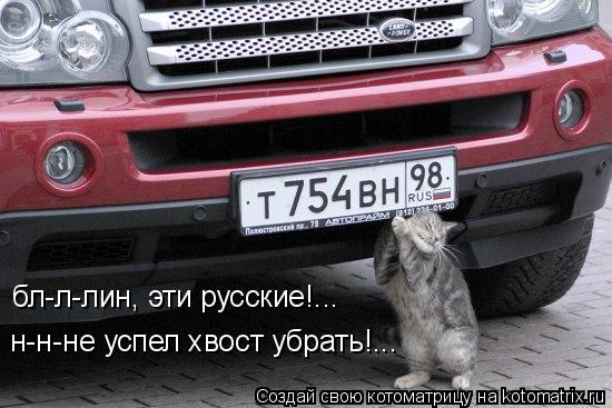бл-л-лин, эти русские!... н-н-не успел хвост убрать!...... Котоматрица: бл-л-лин, эти русские!... н-н-не успел хвост убрать!...