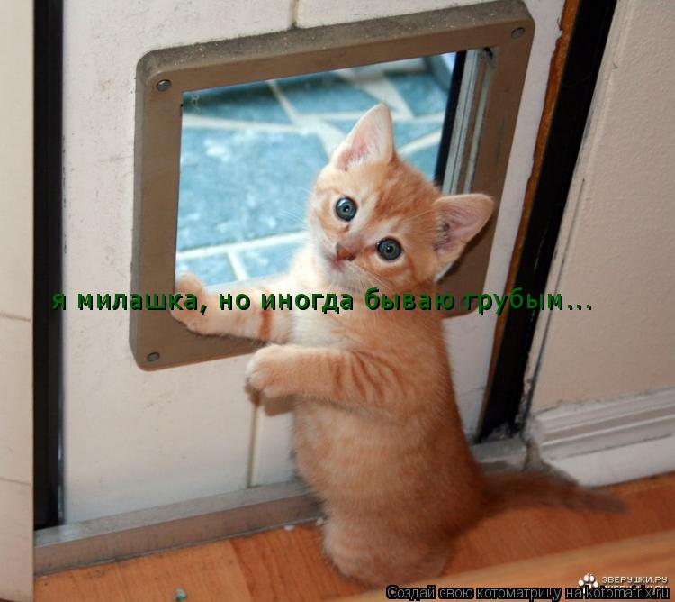 я милашка, но иногда бываю грубым...... Котоматрица: я милашка, но иногда бываю грубым...