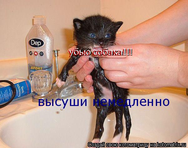 убью собака!!! убью собака!!! высуши немедленно... Котоматрица: убью собака!!! убью собака!!! высуши немедленно