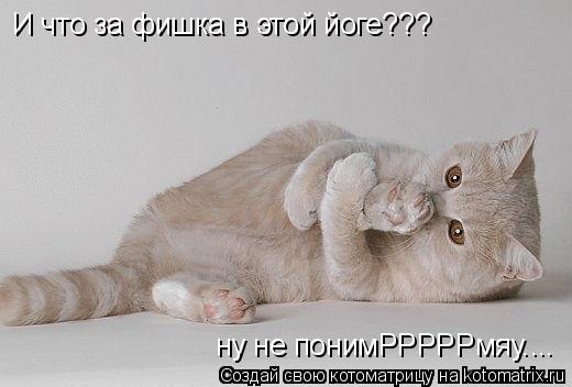 И что за фишка в этой йоге??? ну не понимРРРРРмяу....... Котоматрица: И что за фишка в этой йоге??? ну не понимРРРРРмяу....