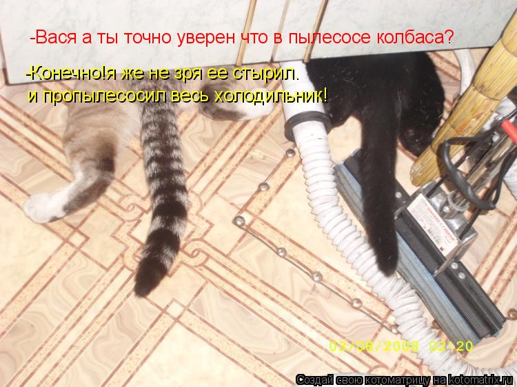 -Вася а ты точно уверен что в пылесосе колбаса? -Конечно!я же не зря ее стырил. и пропылесосил весь х... Котоматрица: -Вася а ты точно уверен что в пылесосе колбаса? -Конечно!я же не зря ее стырил. и пропылесосил весь холодильник!