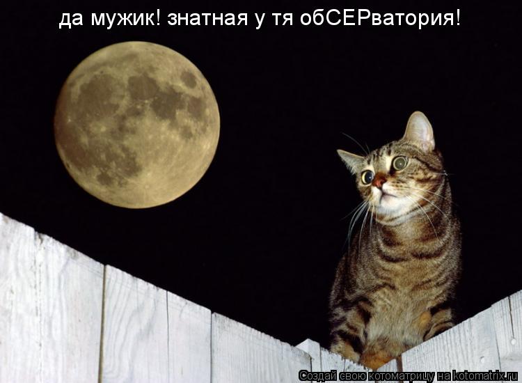 да мужик! знатная у тя обСЕРватория!... Котоматрица: да мужик! знатная у тя обСЕРватория!