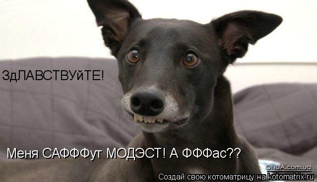 ЗдЛАВСТВУйТЕ! Меня САФФФут МОДЭСТ! А ФФФас??... Котоматрица: ЗдЛАВСТВУйТЕ! Меня САФФФут МОДЭСТ! А ФФФас??