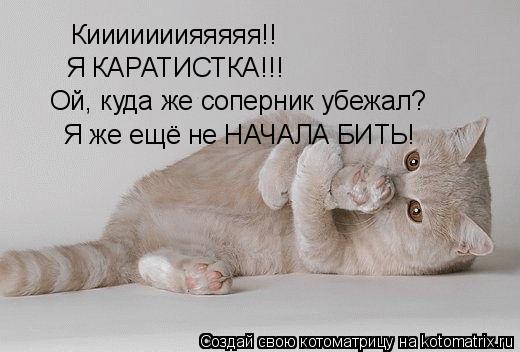 Кииииииияяяяя!! Я КАРАТИСТКА!!! Ой, куда же соперник убежал? Я же ещё не НАЧАЛА БИТЬ!... Котоматрица: Кииииииияяяяя!! Я КАРАТИСТКА!!! Ой, куда же соперник убежал? Я же ещё не НАЧАЛА БИТЬ!