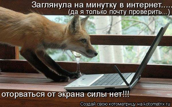 Заглянула на минутку в интернет..... оторваться от экрана силы нет!!! (да я только почту проверить...... Котоматрица: Заглянула на минутку в интернет..... оторваться от экрана силы нет!!! (да я только почту проверить...)