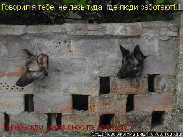 Говорил я тебе, не лезь туда, где люди работают!!! Теперь жди, когда сносить все будут...... Котоматрица: Говорил я тебе, не лезь туда, где люди работают!!! Теперь жди, когда сносить все будут...
