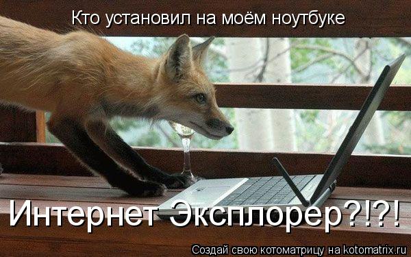 Кто установил на моём ноутбуке Интернет Эксплорер?!?!... Котоматрица: Кто установил на моём ноутбуке Интернет Эксплорер?!?!