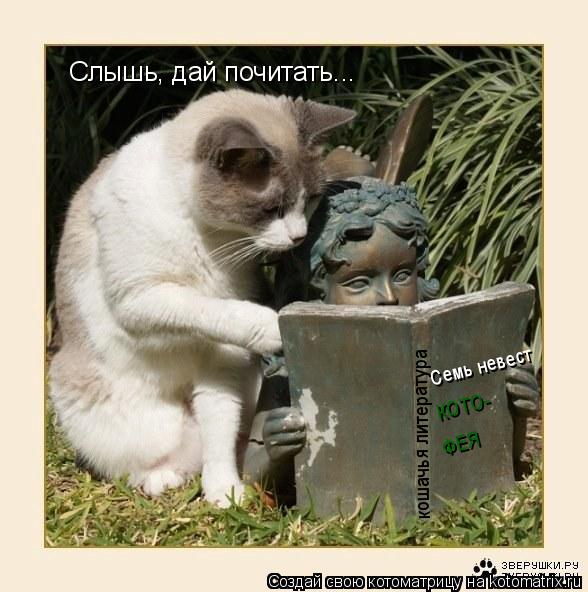 Слышь, дай почитать... Семь невест КОТО- ФЕЯ кошачья литература... Котоматрица: Слышь, дай почитать... Семь невест КОТО- ФЕЯ кошачья литература