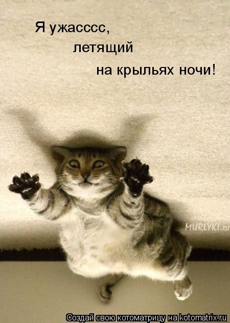Котоматрица: Я ужасссс, летящий на крыльях ночи!