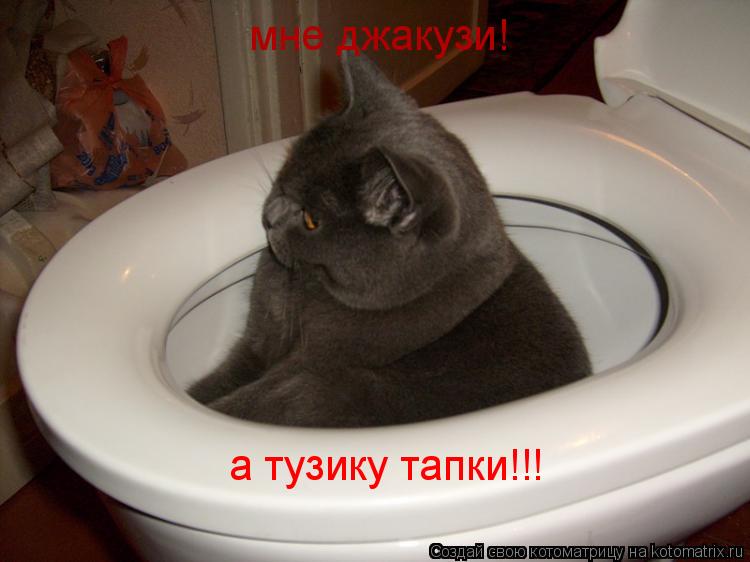 мне джакузи! а тузику тапки!!!... Котоматрица: мне джакузи! а тузику тапки!!!