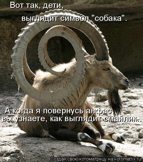 Вот так, дети, выглядит символ "собака". А когда я повернусь анфас, вы узнаете, как выглядит смайлик.... Котоматрица: Вот так, дети, выглядит символ "собака". А когда я повернусь анфас, вы узнаете, как выглядит смайлик...