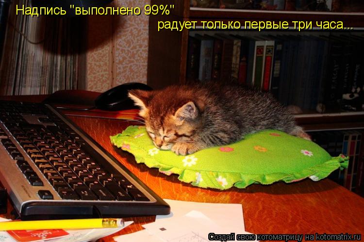 Надпись "выполнено 99%" радует только первые три часа...... Котоматрица: Надпись "выполнено 99%" радует только первые три часа...