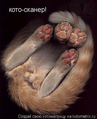 кото-сканер!... Котоматрица: кото-сканер!