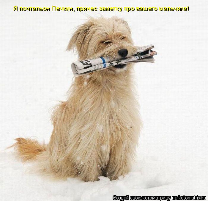 Я почтальон Печкин, принес заметку про вашего мальчика!... Котоматрица: Я почтальон Печкин, принес заметку про вашего мальчика!