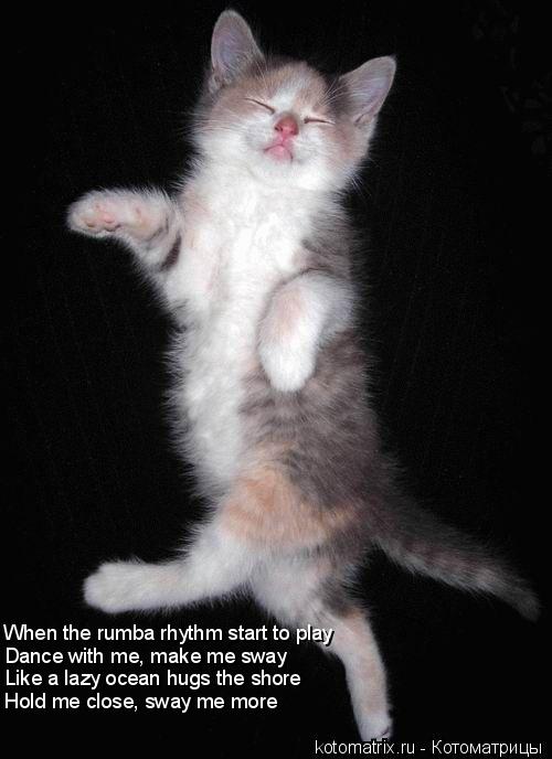 When the rumba rhythm start to play Dance with me, make me sway Like a lazy ocean hugs the shore Hold... Котоматрица: When the rumba rhythm start to play Dance with me, make me sway Like a lazy ocean hugs the shore Hold me close, sway me more