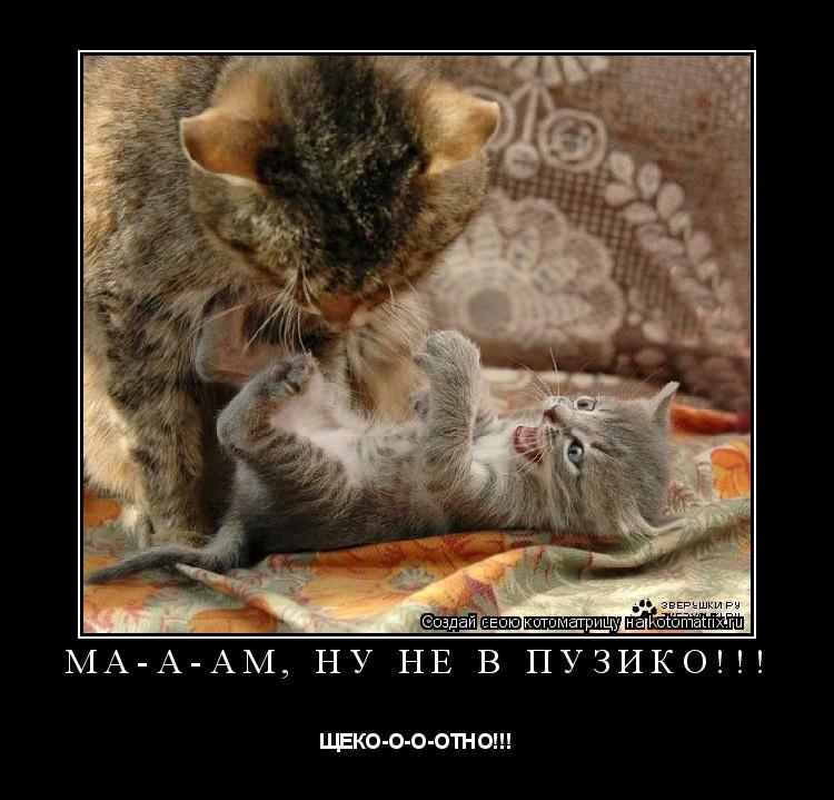Котоматрица: МА-А-АМ, НУ НЕ В ПУЗИКО!!! ЩЕКО-О-О-ОТНО!!!