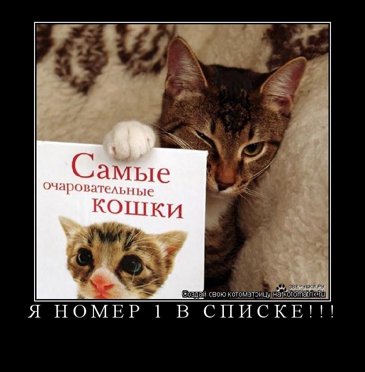 Котоматрица: Я НОМЕР 1 В СПИСКЕ!!! 