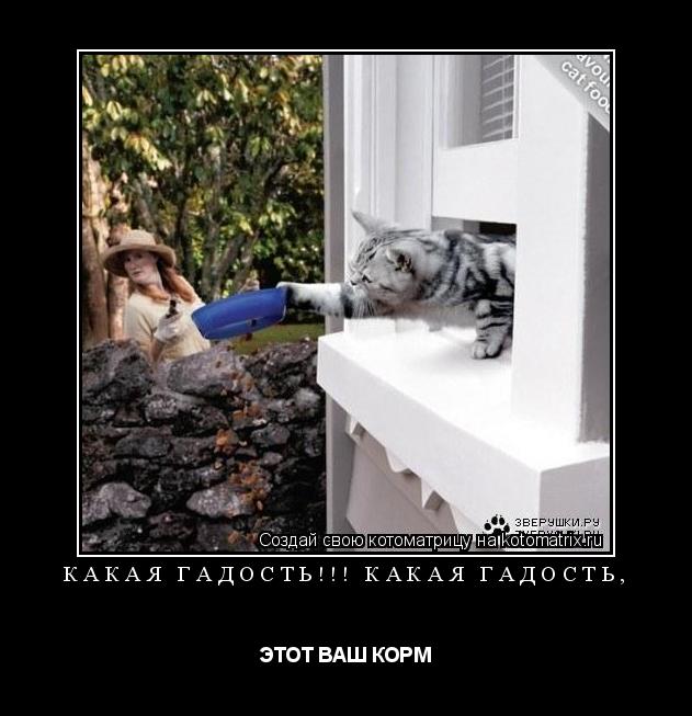 Котоматрица: КАКАЯ ГАДОСТЬ!!! КАКАЯ ГАДОСТЬ,  ЭТОТ ВАШ КОРМ