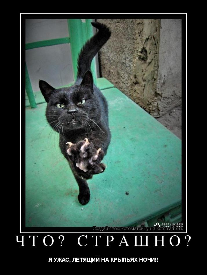 Котоматрица: ЧТО? СТРАШНО? Я УЖАС, ЛЕТЯЩИЙ НА КРЫЛЬЯХ НОЧИ!!