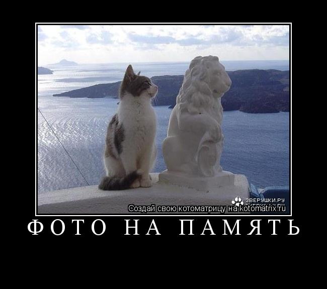 Котоматрица: ФОТО НА ПАМЯТЬ 