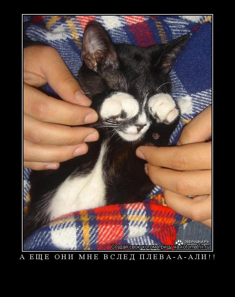 Котоматрица: А ЕЩЕ ОНИ МНЕ ВСЛЕД ПЛЕВА-А-АЛИ!! 