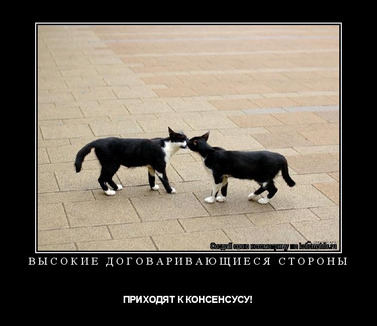 Котоматрица: ВЫСОКИЕ ДОГОВАРИВАЮЩИЕСЯ СТОРОНЫ ПРИХОДЯТ К КОНСЕНСУСУ!