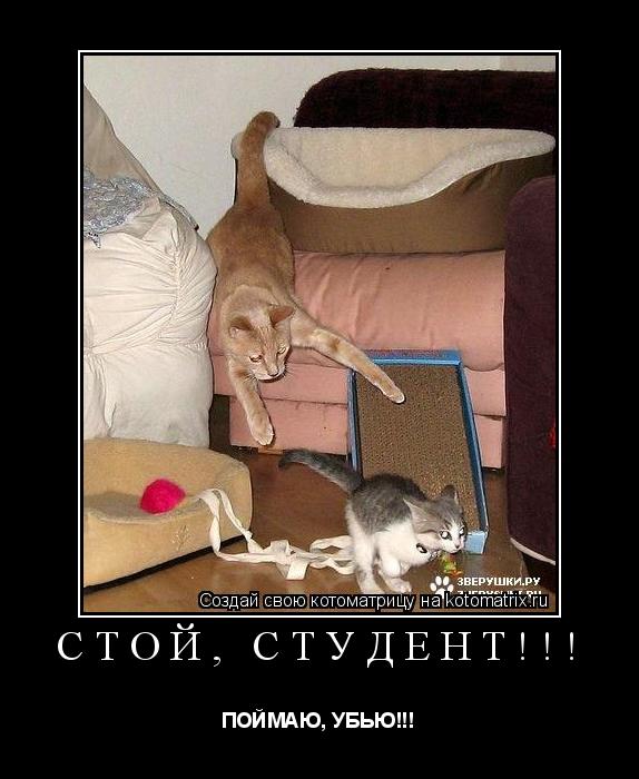 Котоматрица: СТОЙ, СТУДЕНТ!!! ПОЙМАЮ, УБЬЮ!!!