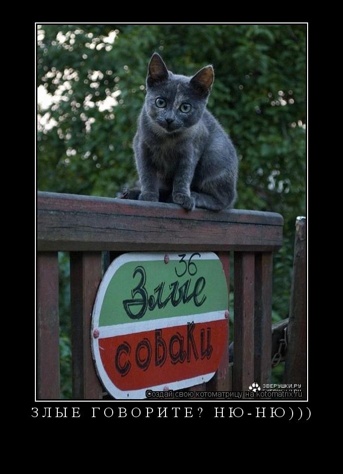 ЗЛЫЕ ГОВОРИТЕ? НЮ-НЮ))) ... Котоматрица: ЗЛЫЕ ГОВОРИТЕ? НЮ-НЮ)))