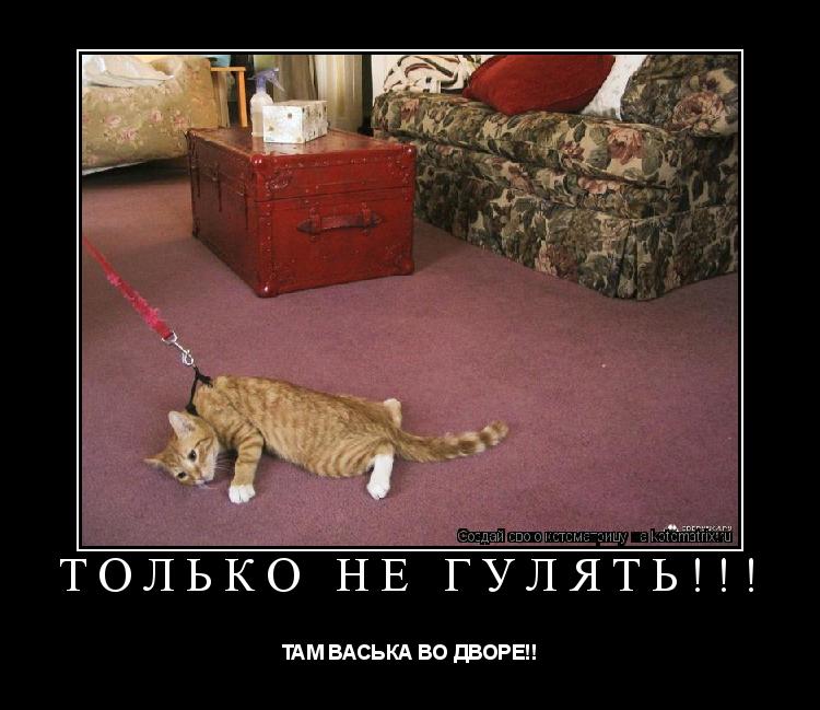 Котоматрица: ТОЛЬКО НЕ ГУЛЯТЬ!!! ТАМ ВАСЬКА ВО ДВОРЕ!!