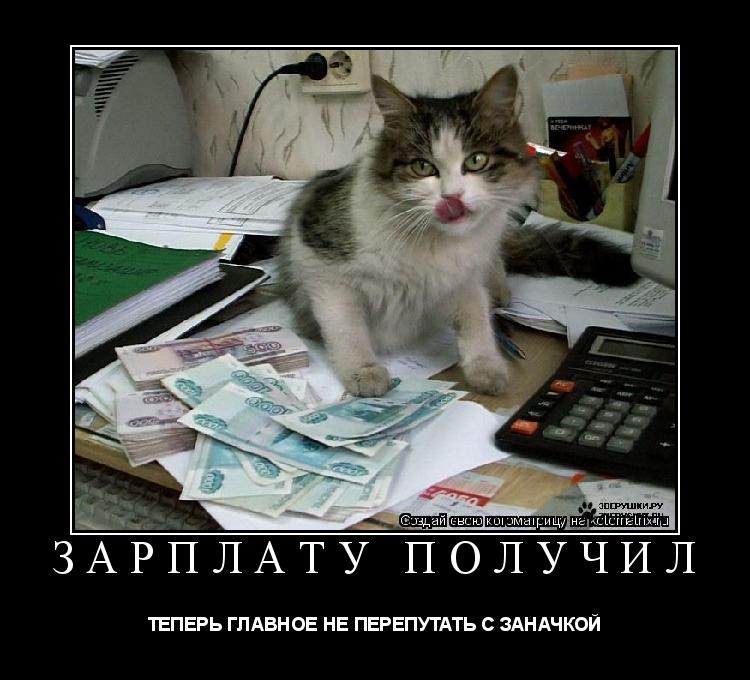 Котоматрица: ЗАРПЛАТУ ПОЛУЧИЛ ТЕПЕРЬ ГЛАВНОЕ НЕ ПЕРЕПУТАТЬ С ЗАНАЧКОЙ