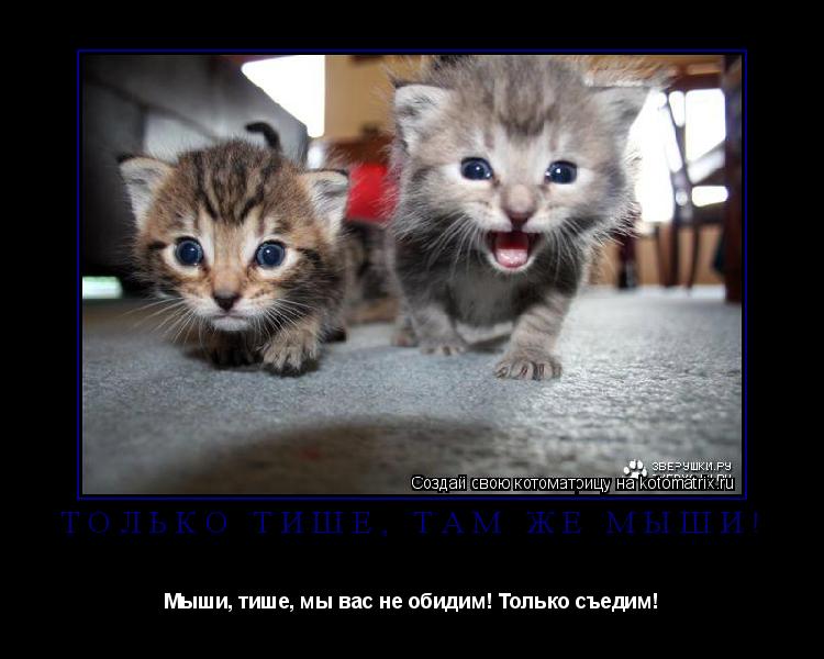 Котоматрица: Только тише, там же мыши! Мыши, тише, мы вас не обидим! Только съедим!