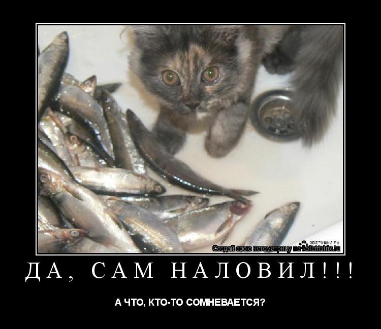 Котоматрица: ДА, САМ НАЛОВИЛ!!! А ЧТО, КТО-ТО СОМНЕВАЕТСЯ?