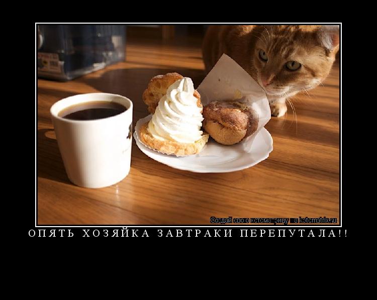 Котоматрица: ОПЯТЬ ХОЗЯЙКА ЗАВТРАКИ ПЕРЕПУТАЛА!! 