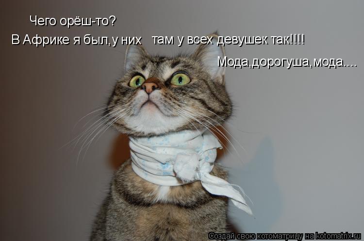 Котоматрица: Чего орёш-то? В Африке я был,у них там у всех девушек так!!!! Мода,дорогуша,мода....