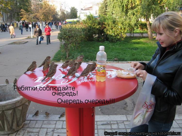 Котоматрица: Ребятки,соблюдайте очередь! Очередь,очередь!!!