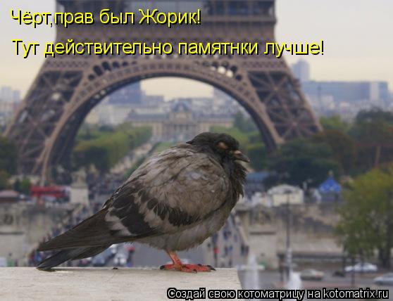 Котоматрица: Чёрт,прав был Жорик! Тут действительно памятнки лучше!