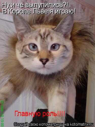 Котоматрица: Ну,и чё вылупились?! В Короле Льве я играю! Главную роль!!!! Главную роль!!!!