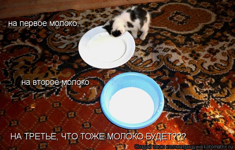 Котоматрица: на первое молоко, на второе молоко НА ТРЕТЬЕ, ЧТО ТОЖЕ МОЛОКО БУДЕТ???