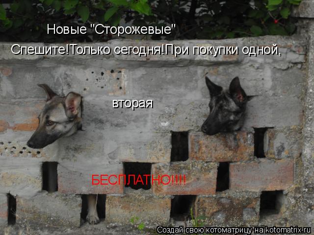 Котоматрица: Новые "Сторожевые" Спешите!Только сегодня!При покупки одной, вторая БЕСПЛАТНО!!!!