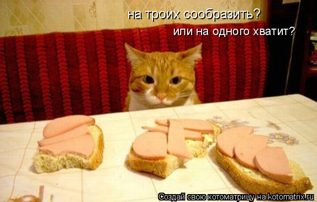 Котоматрица: на троих сообразить? или на одного хватит?
