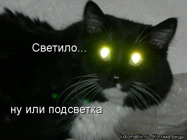 Котоматрица: Светило... ну или подсветка