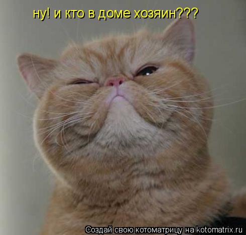 ну! и кто в доме хозяин???... Котоматрица: ну! и кто в доме хозяин???